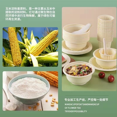Phân hủy, bảo vệ môi trường, sức khỏe và an toàn, hộp ăn trưa dùng một lần
