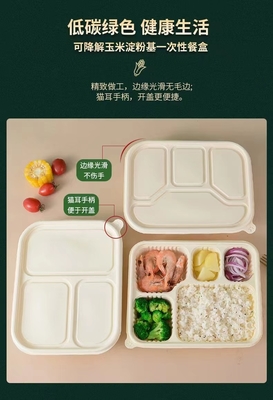 Phân hủy, bảo vệ môi trường, sức khỏe và an toàn, hộp ăn trưa dùng một lần