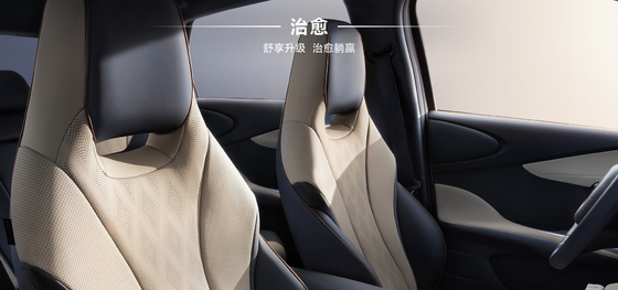 BYD 2025 Dolphin 520km Phiên bản Hiệp sĩ EV