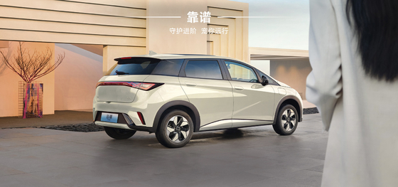 BYD 2025 Dolphin 520km Phiên bản Hiệp sĩ EV