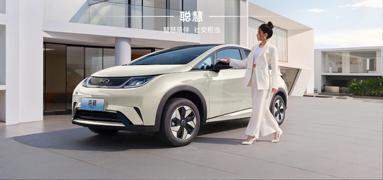 BYD 2025 Dolphin 520km Phiên bản Hiệp sĩ EV