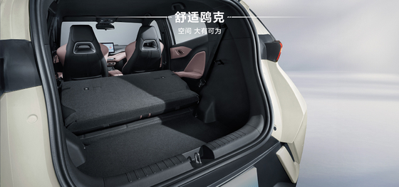 2025 BYD Hảiou 305KM