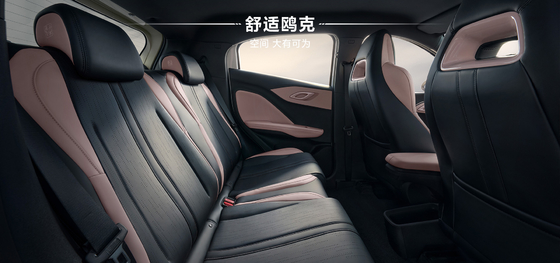 2025 BYD Hảiou 305KM